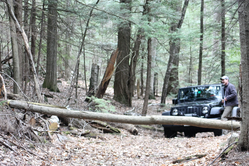 Illustration for article titled Jeeps in the Woods.